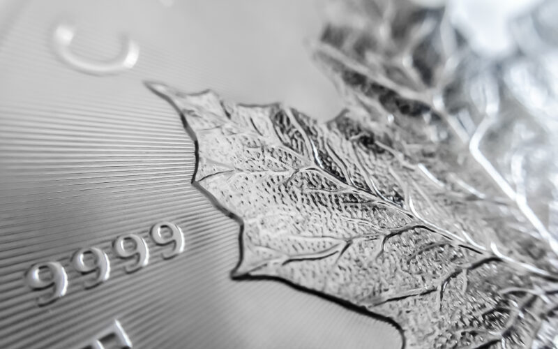 AG close up zilveren ounce maple leaf