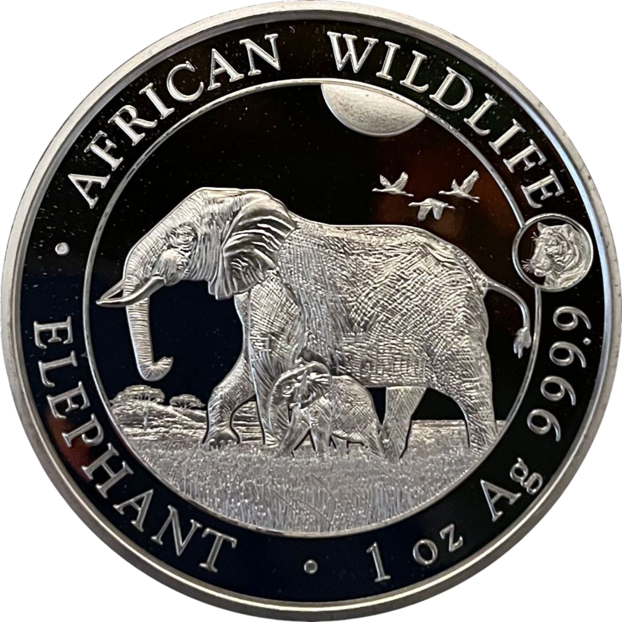 Ag 1 Oz African Wildlife Elephant 2022