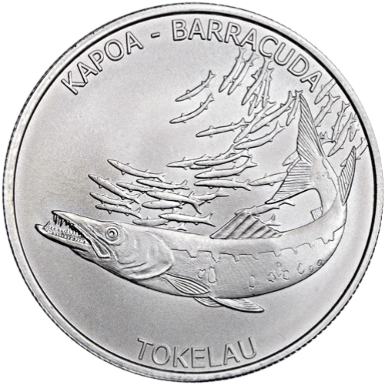 Ag 1 Oz Barracuda Tokelau 2017
