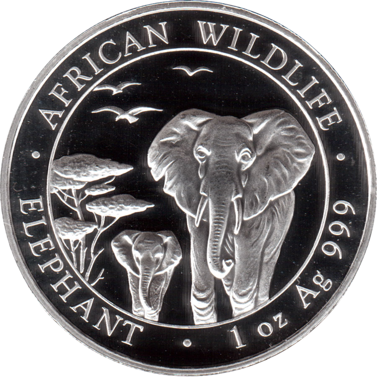 Ag 1 Oz Elephant 2015