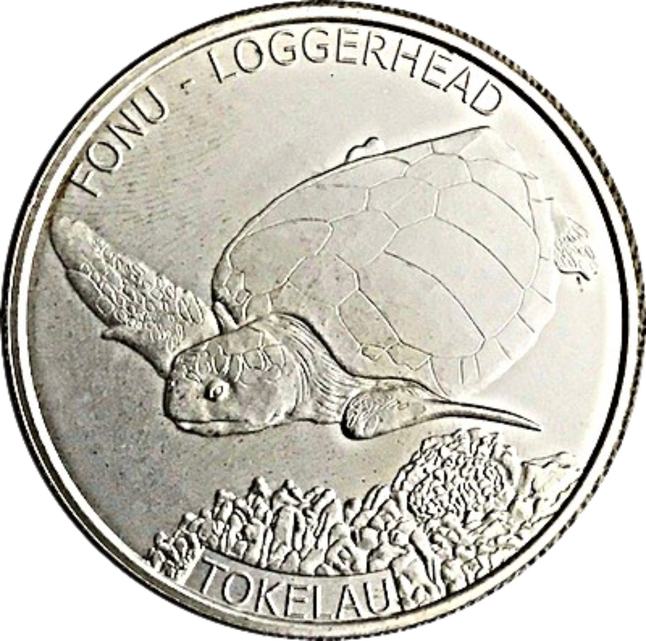 Ag 1 Oz Loggerhead Tokelau 2019