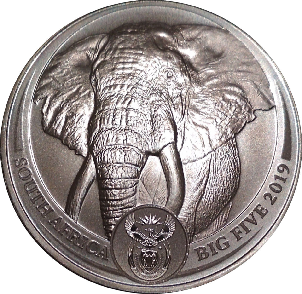Ag 1 Oz The Big Five Elephant 2019