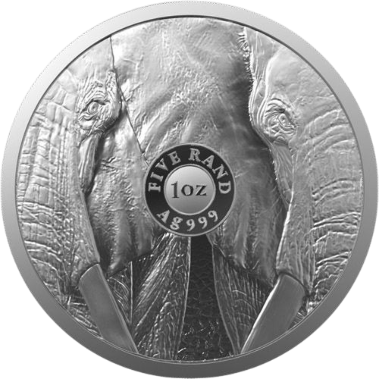 Ag 1 Oz The Big Five Elephant 2021