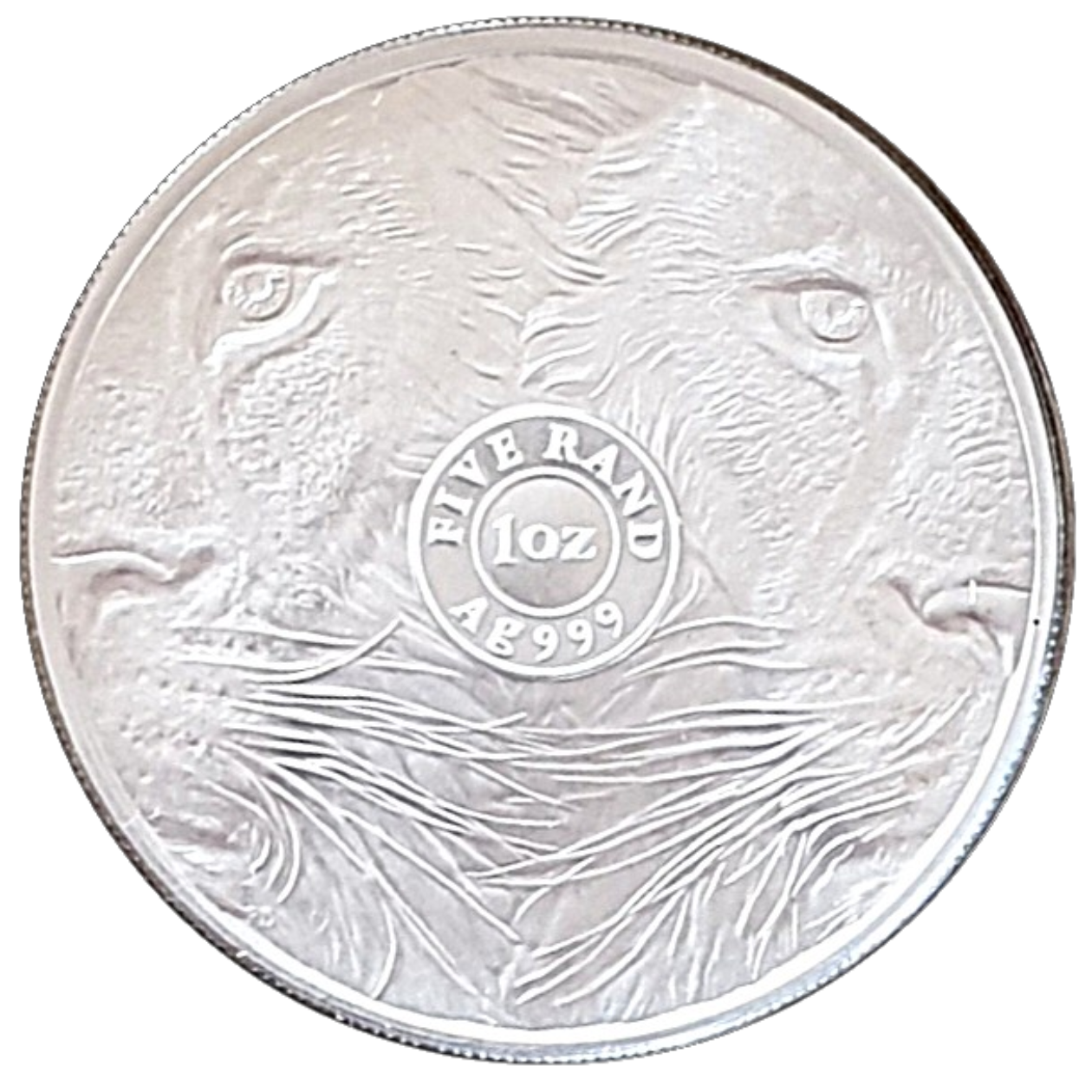 Ag 1 Oz The Big Five lion 2019