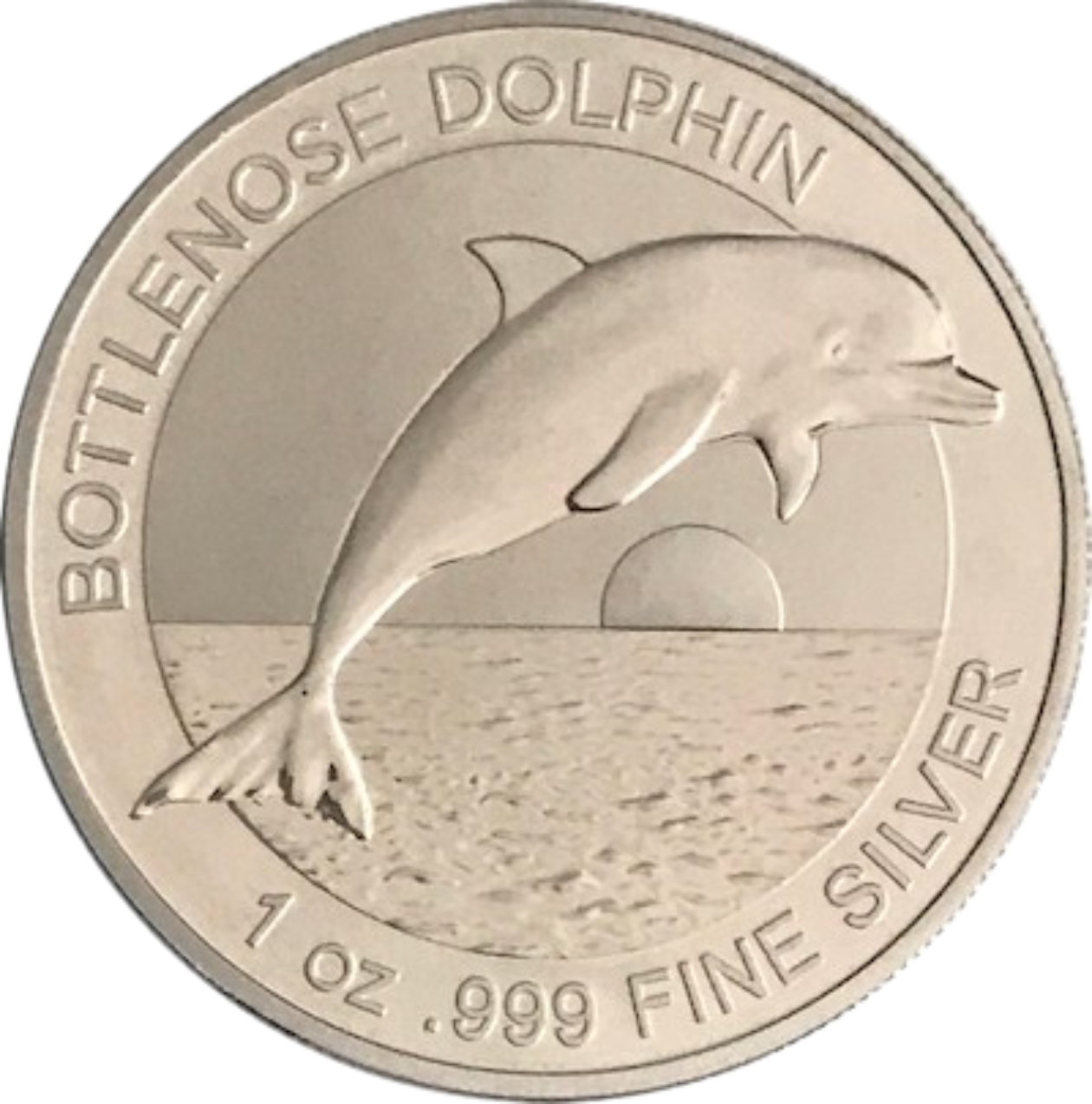 Ag 1 Oz bottlenose Dolphin 2019