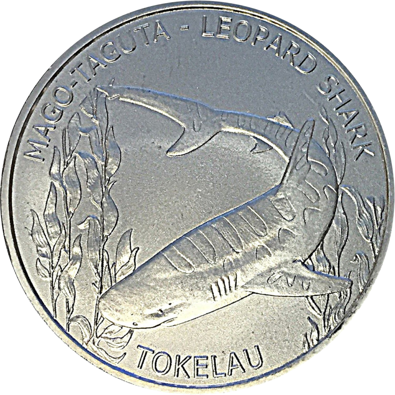 Ag 1 Oz leopard shark tokelau 2018