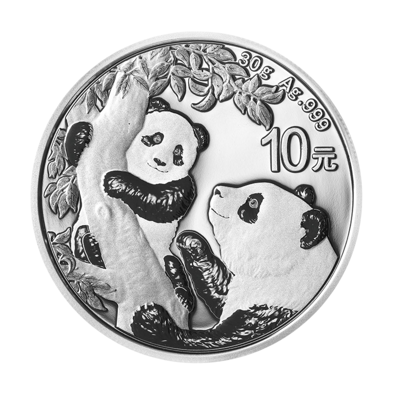 Ag 30gram panda 2021