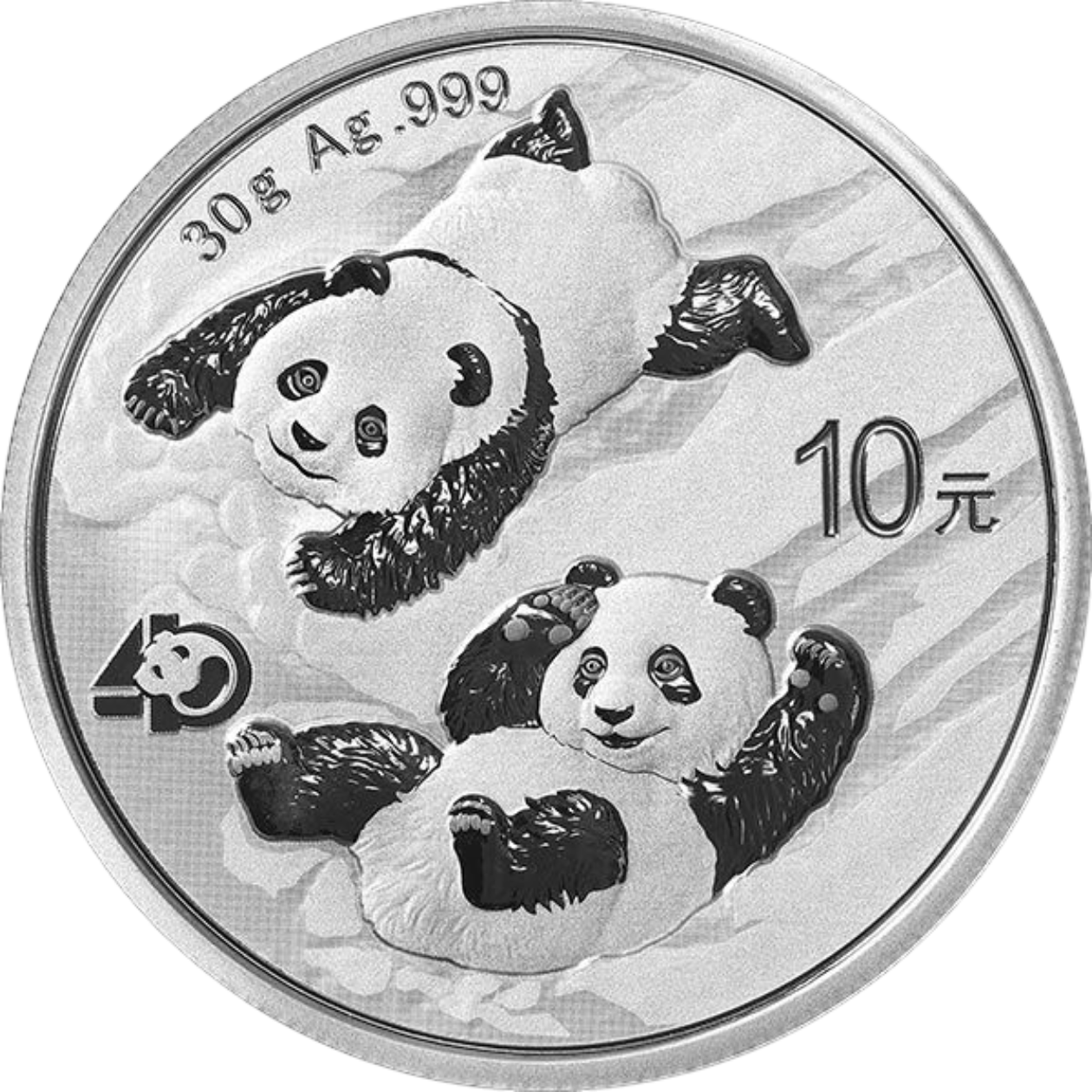 Ag 30gram panda 2022