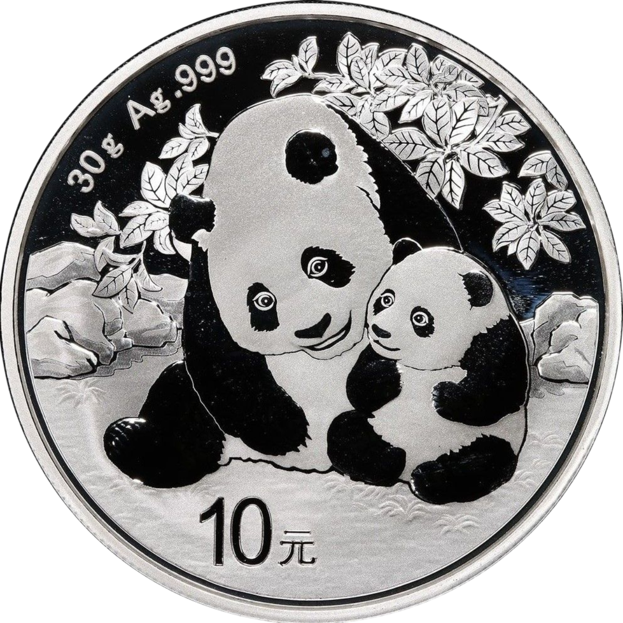 Ag 30gram panda 2024