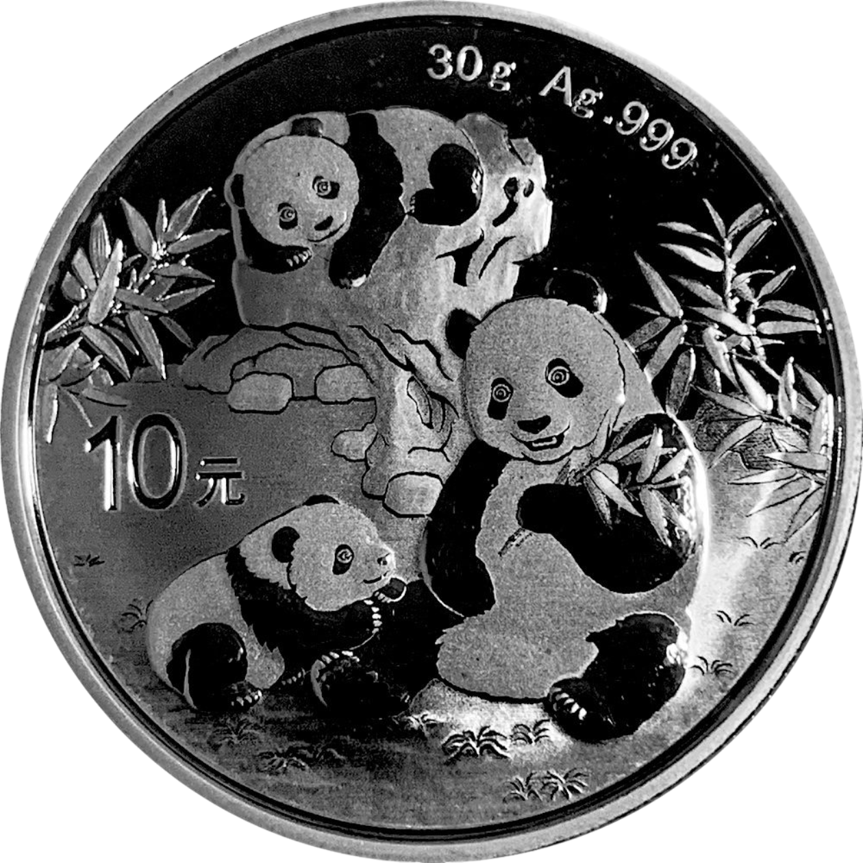 Ag 30gram panda 2025