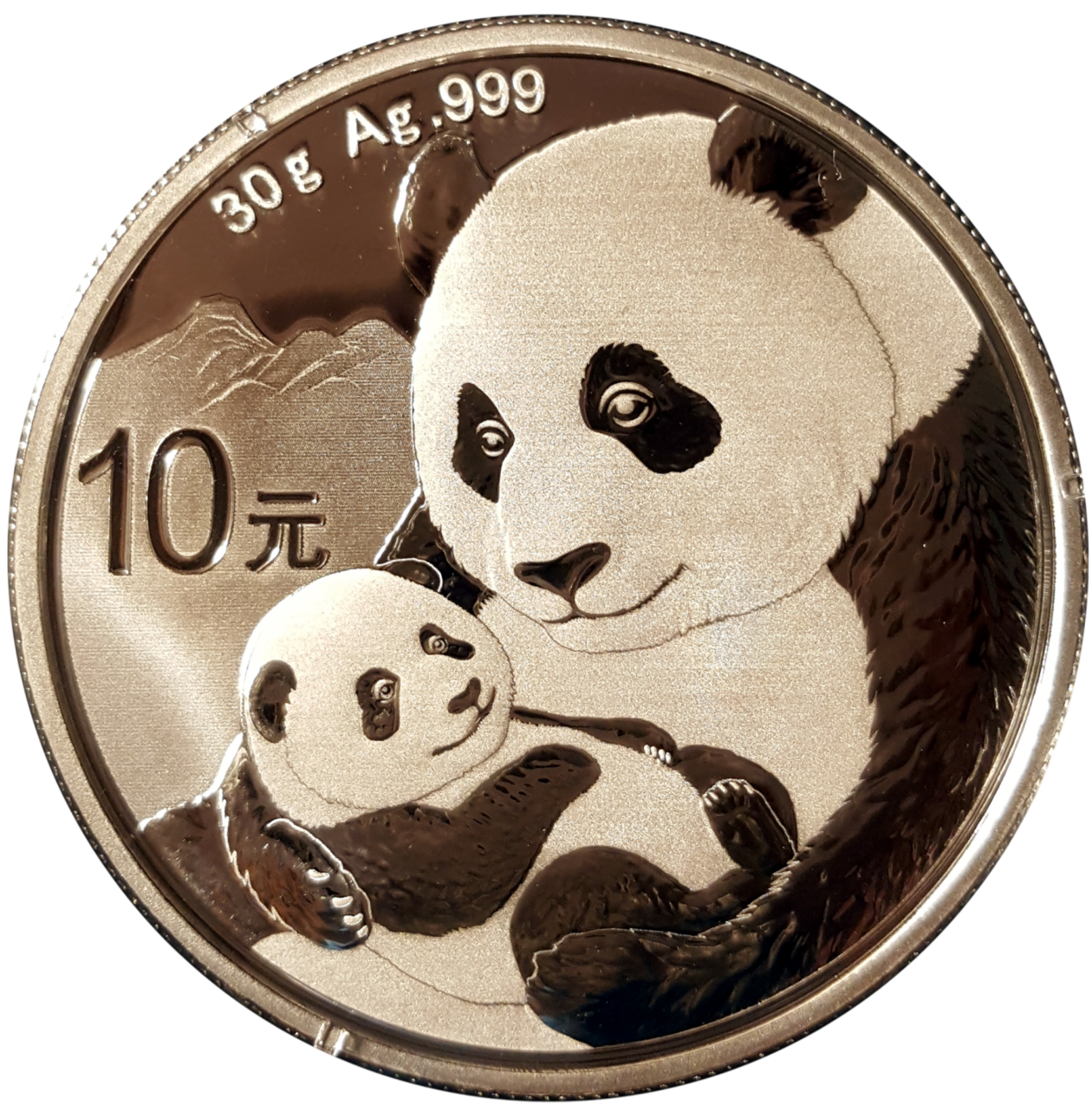 Ag 30gram panda 3