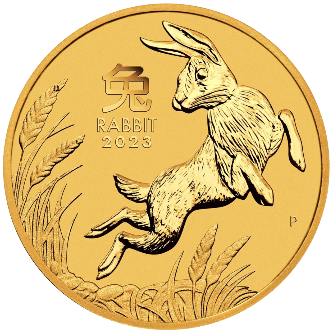 Au 1 2 Oz year of the rabbit 2023 2