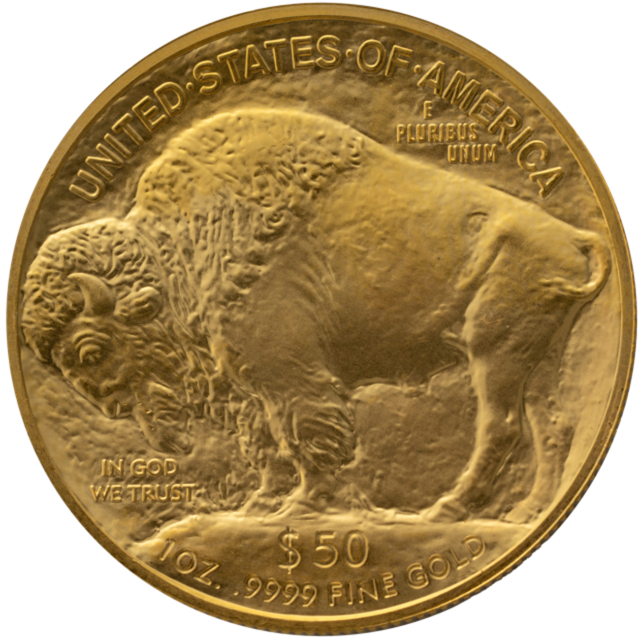 Buffalo1 Medium