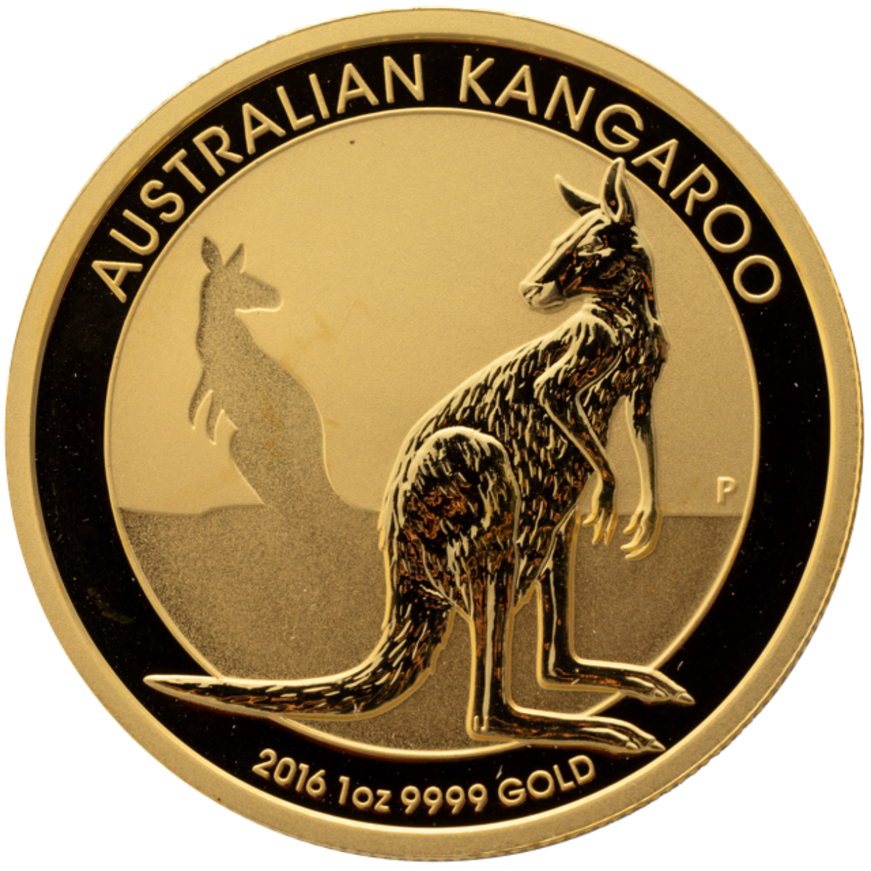 Kangaroo1 Medium