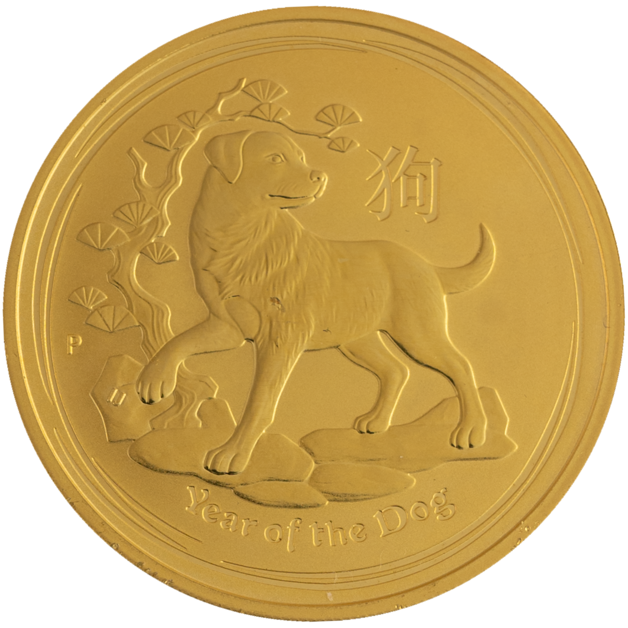 Year of The Dog