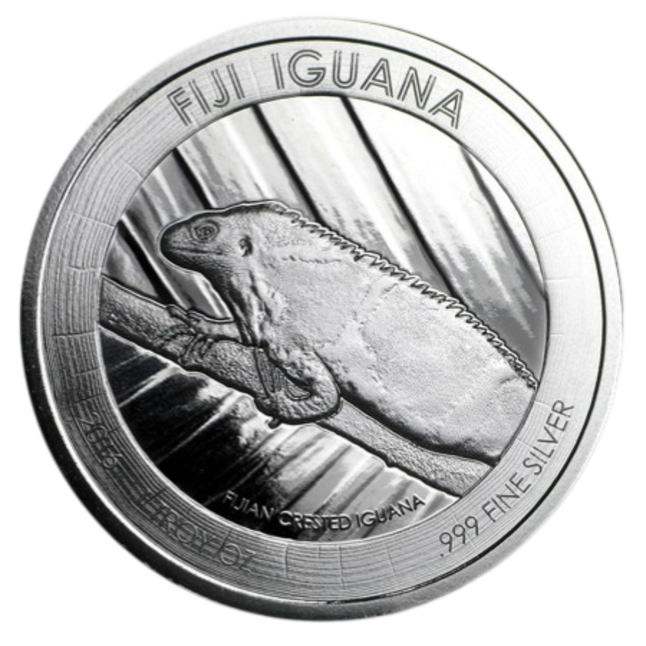 Iguna 2016