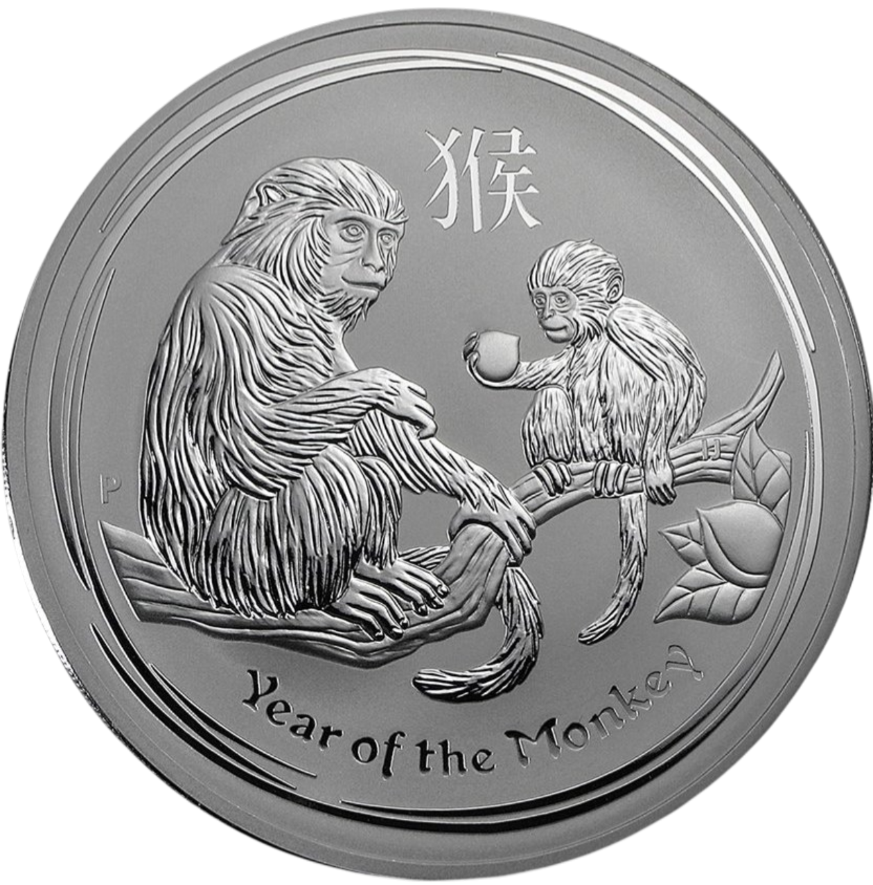 Year of the monkey 2016