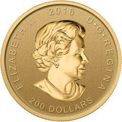 200 Dollars Elizabeth II Bear