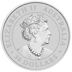 Ag 1 Kg Koala 2020 2
