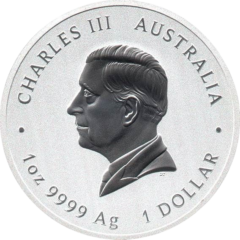 Ag 1 Oz Year of the Snake 2025 2