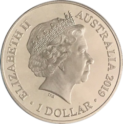 Ag 1 Oz bottlenose Dolphin 2019 2