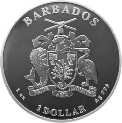 Ag 1 Oz carribean seahorse 2018 2