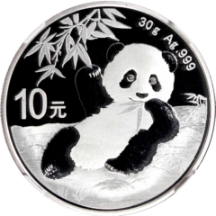 Ag 30gram panda 2020