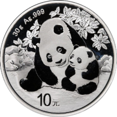 Ag 30gram panda 2024
