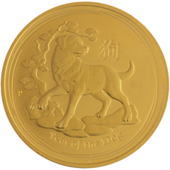 Year of The Dog