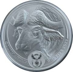 Ag 1 Oz The Big Five buffalo 2021 2