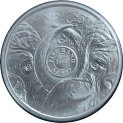 Ag 1 Oz The Big Five buffalo 2021
